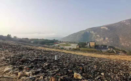 昔日“垃圾山”今朝“花海洋” 西區(qū)這個地方美出新高度