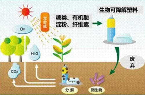 “可降解塑料”不是塑料嗎,？